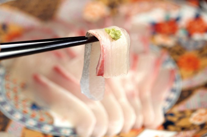 カンパチ 勘八 1節~2節 セット | 極美勘八 人気 高級 魚 産地直送 かんぱち しゃぶしゃぶ 鍋 照り焼き 刺し身 刺身 さしみ 生 冷蔵 高知県 須崎市