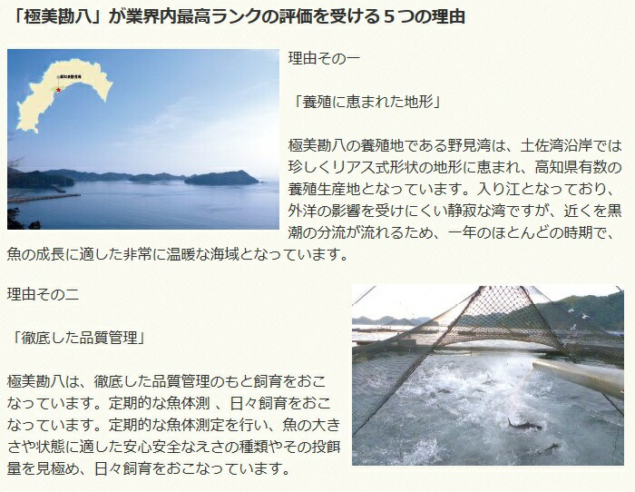 カンパチ 勘八 1節~2節 セット | 極美勘八 人気 高級 魚 産地直送 かんぱち しゃぶしゃぶ 鍋 照り焼き 刺し身 刺身 さしみ 生 冷蔵 高知県 須崎市