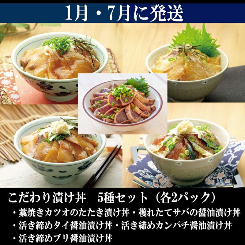 【定期便 6ヶ月連続】 海鮮グルメ定期便 こだわり 刺身 刺身セット 海鮮丼 盛り合わせ | かつお かつおのたたき かつおのタタキ 鰹のたたき サバ さば 鯛 たい タイ 勘八 カンパチ 鰤 ブリ