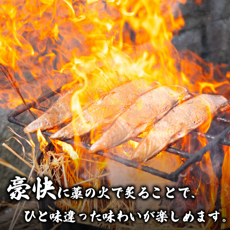 カツオ タタキ 650g以上 藁焼き かつおのたたき 鰹 特製 ポン酢 と 塩 付き こだわり 高知県産 鰹のタタキ 人気 おすすめ 高知県 須崎市 贈り物 ギフト NS004_2x