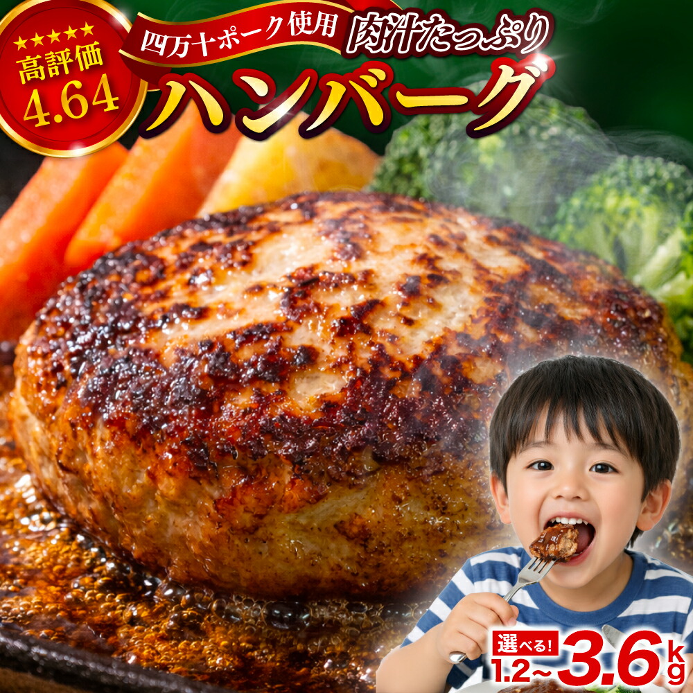 ハンバーグ 四万十ポーク 入り 1.2kg~3.6kg  冷凍 真空 小分け 個包装 肉汁 たっぷり 大容量 大きめ 合挽き 牛肉 豚肉 保存料 不使用 ビーフ ポーク 合いびき肉