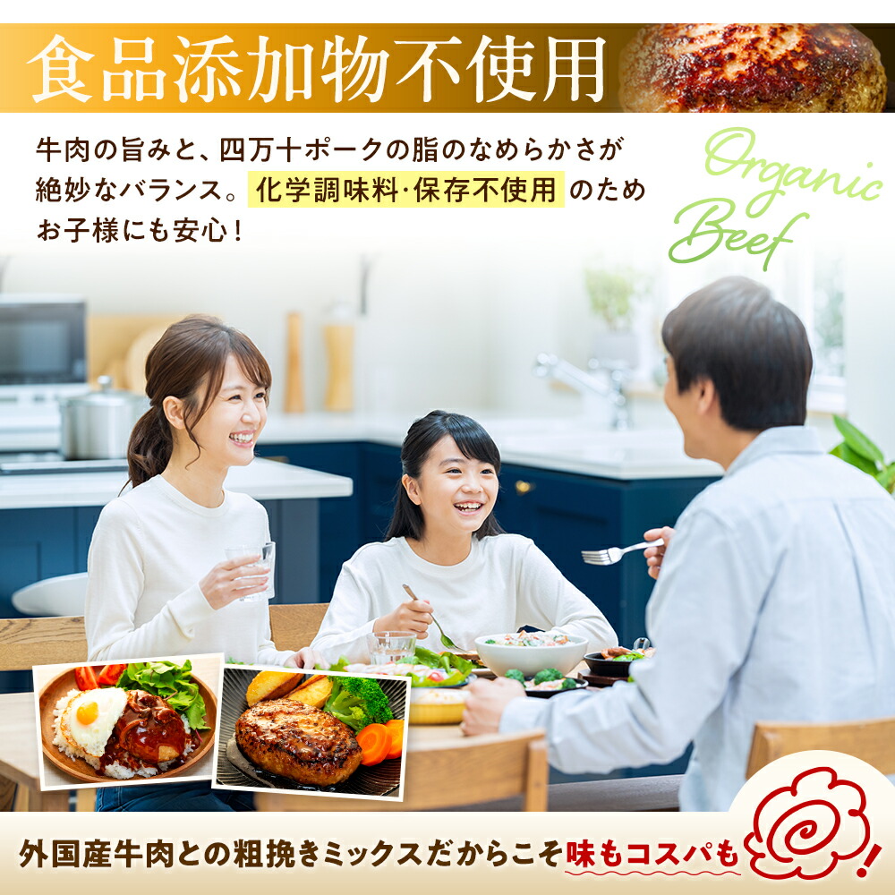 ハンバーグ 四万十ポーク 入り 1.2kg~3.6kg  冷凍 真空 小分け 個包装 肉汁 たっぷり 大容量 大きめ 合挽き 牛肉 豚肉 保存料 不使用 ビーフ ポーク 合いびき肉
