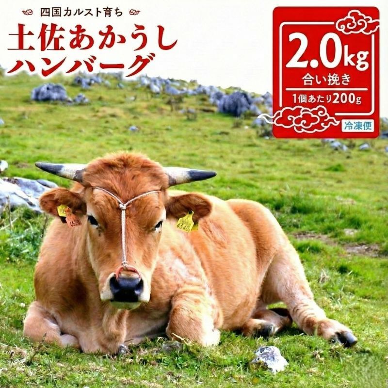 幻の和牛 土佐あかうし ハンバーグ 2kg 200g x 10個 冷凍 合い挽き 牛肉 豚肉 あか牛 玉ねぎ 玉葱 個包装 人気ハンバーグ ランキング 神戸牛 松阪牛 近江牛