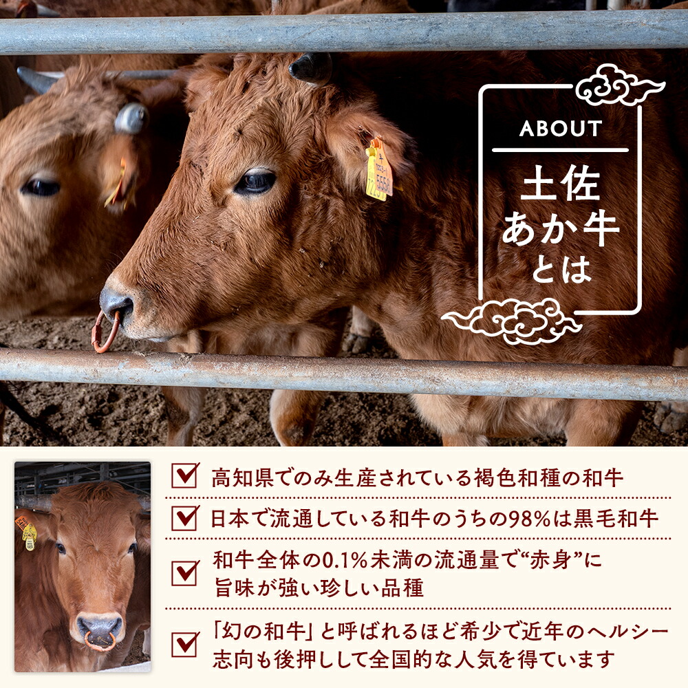 幻の和牛 土佐あかうし ハンバーグ 2kg 200g x 10個 冷凍 合い挽き 牛肉 豚肉 あか牛 玉ねぎ 玉葱 個包装 人気ハンバーグ ランキング 神戸牛 松阪牛 近江牛