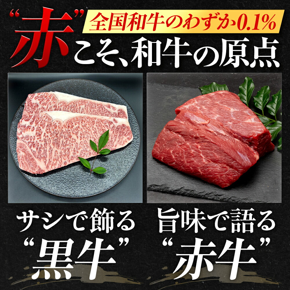 幻の和牛 土佐あかうし ハンバーグ 2kg 200g x 10個 冷凍 合い挽き 牛肉 豚肉 あか牛 玉ねぎ 玉葱 個包装 人気ハンバーグ ランキング 神戸牛 松阪牛 近江牛