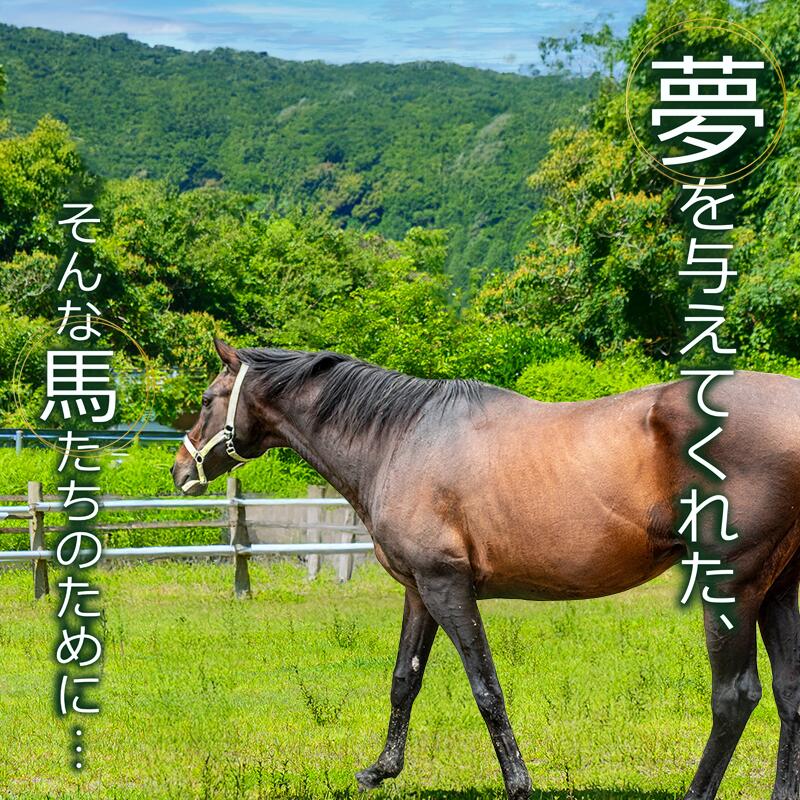 競走馬 支援 2000円～1万円 コース 黒潮友馬会応援 特典 ポストカード 競馬 サラブレッド 引退 高知県 須崎市 選べる 寄付額 引退 余生支援