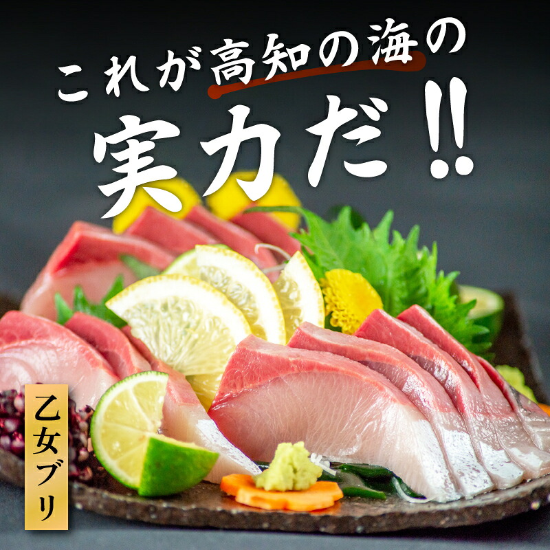 【 スピード配送 】乙女 ブリ 1本 4~5kg ( 下処理有 )丸ごと一本 ブランド 新鮮 鰤 ぶり ブリ 冷蔵 新鮮 ブリ しゃぶ ブリ鍋 鍋 刺身 高知県 須崎市 高知 鰤 年末 正月 KS03