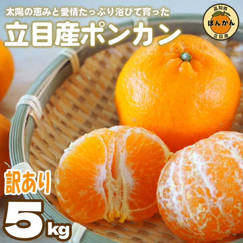 立目産 ポンカン 訳あり 5kg サイズ混合 家庭用 立目 ブランド 果物 フルーツ 冬 柑橘 2027年 収穫分 みかん 蜜柑 デザート 高知県 須崎市 AF001
