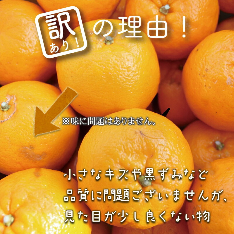 立目産 ポンカン 訳あり 5kg サイズ混合 家庭用 立目 ブランド 果物 フルーツ 冬 柑橘 2027年 収穫分 みかん 蜜柑 デザート 高知県 須崎市 AF001