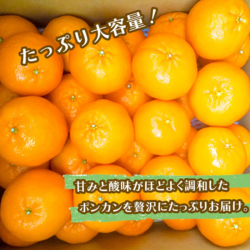 立目産 ポンカン 訳あり 5kg サイズ混合 家庭用 立目 ブランド 果物 フルーツ 冬 柑橘 2027年 収穫分 みかん 蜜柑 デザート 高知県 須崎市 AF001