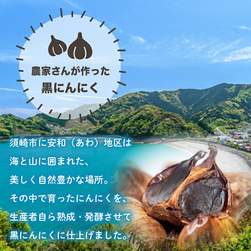 【早期予約】 訳あり 黒にんにく500g あわ地区 野菜 高知 須崎