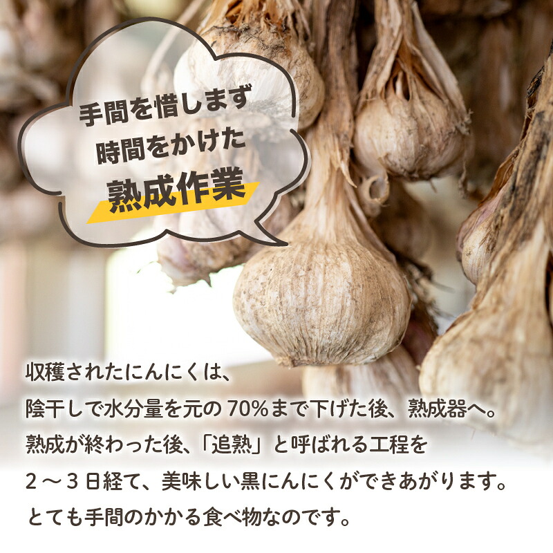 【早期予約】 訳あり 黒にんにく500g あわ地区 野菜 高知 須崎