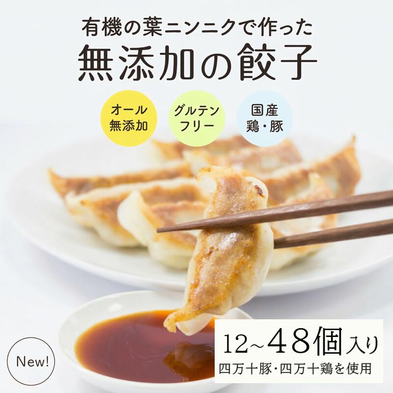 葉 にんにく と 四万十豚 で作った 最高級餃子 （ 6個入り × 2 パック ） 餃子 ギョーザ 焼き餃子 やきぎょうざ ぎょーざ こだわり 大容量 冷凍 冷凍餃子 簡単 調理 簡単調理 惣菜 冷凍