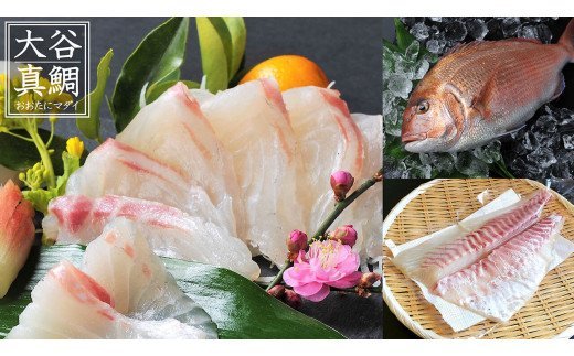 高知 の極上 勘八・真鯛 をご当地 調味料「葉 にんにく ぬた」で味わう 土佐 食 文化 堪能 セット かんぱち 勘八 たい 鯛 鮮魚 魚介類 海鮮 刺身 さしみ 藁焼き わらやき にんにく 万能 詰