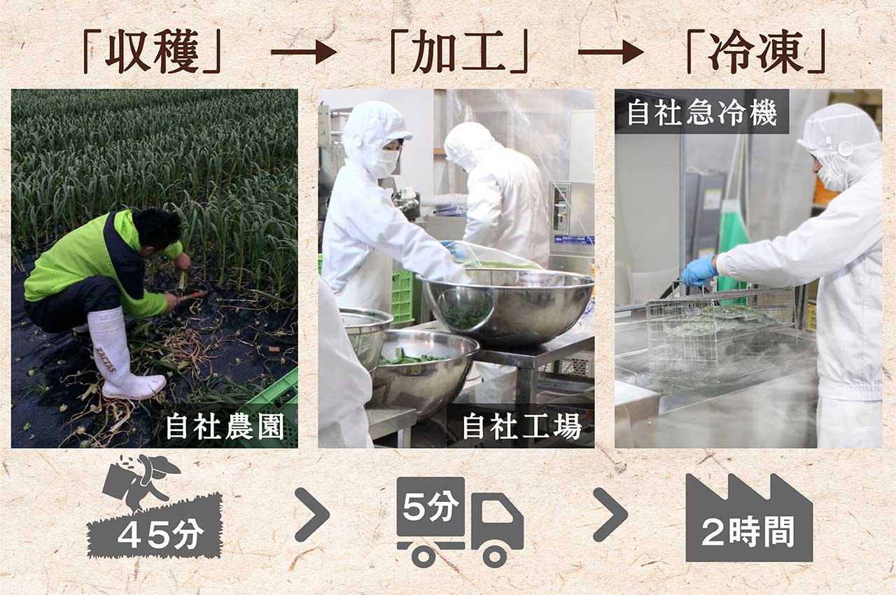 【高知家のうまいもの大賞グランプリ受賞】 かつお に合う 葉にんにく ぬた 3袋×3個 調味料 小分け 鰹  かつおのたたき 藁焼き わらやき 鮮魚 スパゲッティ パスタ 麺 イタリアン ジュノベーゼ