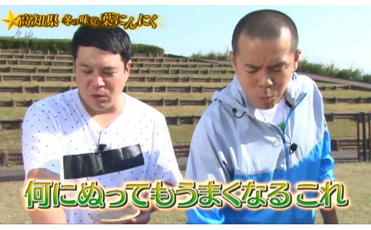 【高知家のうまいもの大賞グランプリ受賞】 藁焼き ブリ ぬた セット 食べ比べ セット ソース ドレッシング ぶり わらやき 肉 牛 豚 鶏 ハンバーガー ご当地 万能 調味料 ニンニク 無農薬 有機