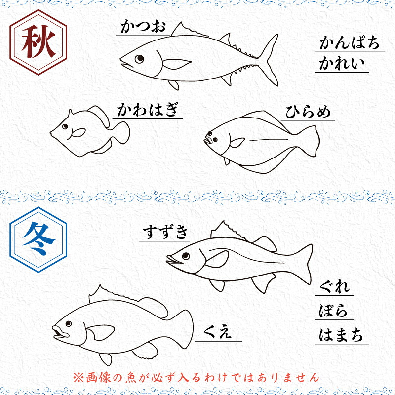 鮮魚BOX 2 ~ 4kg 刺身 刺し身 旬 海鮮 鮮魚 魚介 焼き 煮付け 炙り カルパッチョ 寿司 丼 おつまみ おかず ご飯に合う 米に合う コメに合う 家庭用 父の日 高級 冷蔵 高知県 須崎市 土佐