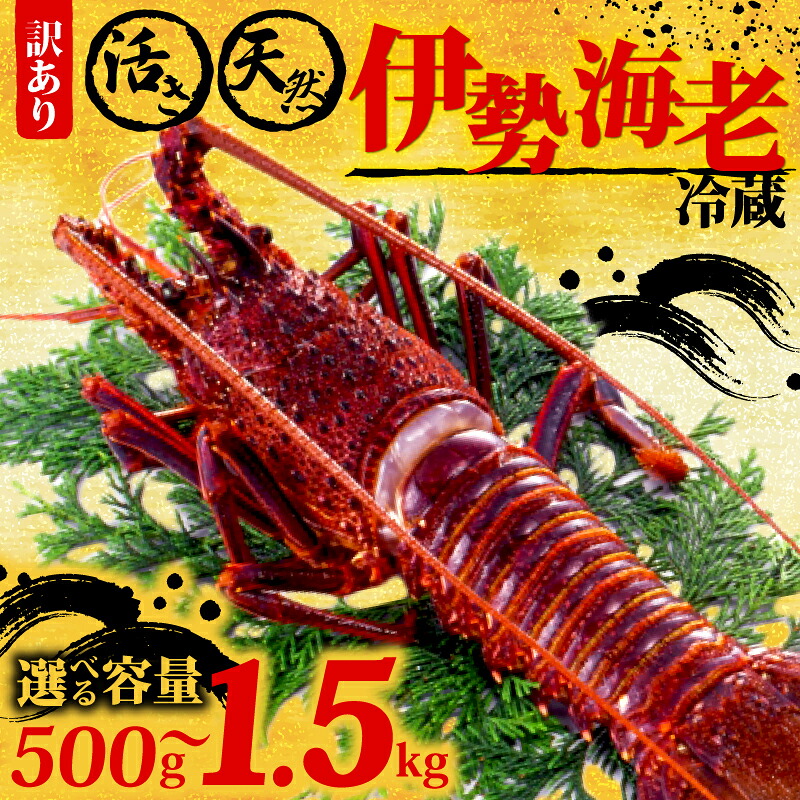 伊勢海老 訳あり 500g