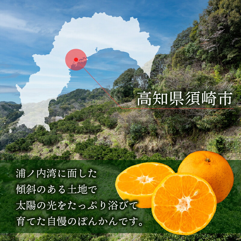 訳あり ポンカン ぽんかん 5kg 家庭用 訳アリ 椪柑 みかん ミカン 浦ノ内 ぽんかん 産地直送 果物 フルーツ 常温 みかん 柑橘 くだもの ジャム ミカン ゼリー 果肉 蜜柑 みかん ジュース