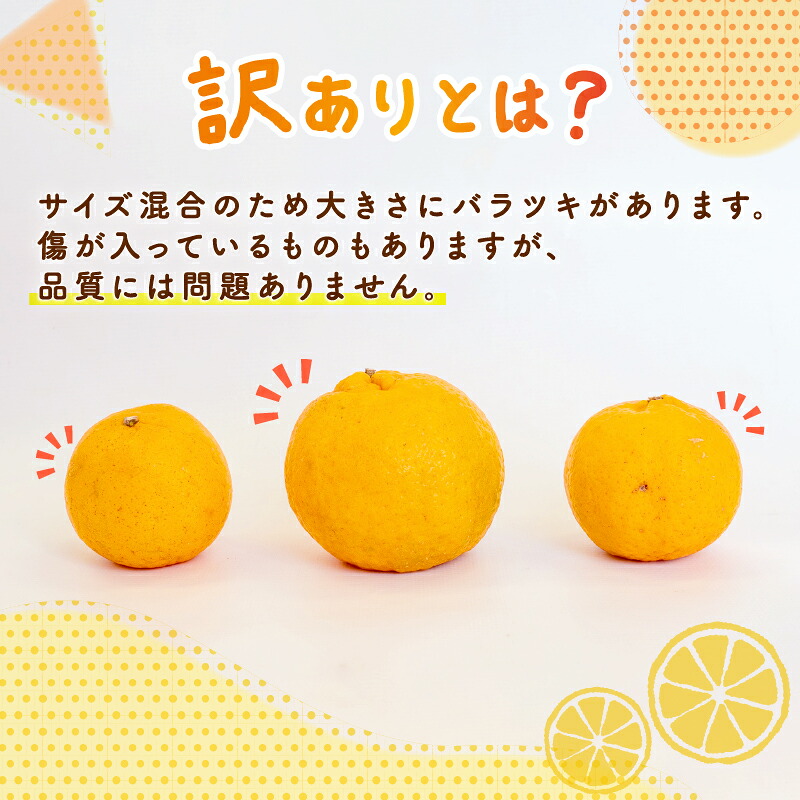 訳あり ポンカン ぽんかん 5kg 家庭用 訳アリ 椪柑 みかん ミカン 浦ノ内 ぽんかん 産地直送 果物 フルーツ 常温 みかん 柑橘 くだもの ジャム ミカン ゼリー 果肉 蜜柑 みかん ジュース