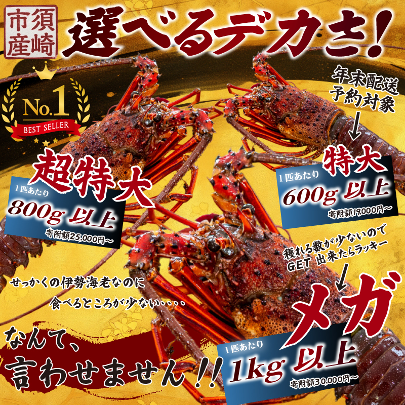 メガ 超特大 伊勢海老 1匹~7匹 伊勢海老 エビ いせえび 人気伊勢海老 伊勢海老刺身 生き 活魚 高級 鮮魚 海鮮 魚介 刺身 お造り 焼き物 汁物 BBQ 魚介類 おつまみ 国産 伊勢海老国産 人気 便 活