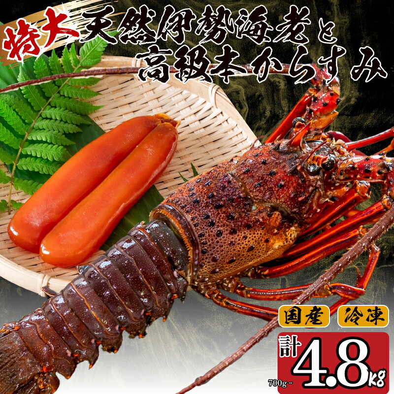 特大伊勢海老とからすみのセット 伊勢海老 1尾 からすみ100g カラスミ 唐墨 伊勢海老 エビ いせえび 人気伊勢海老 伊勢海老刺身 高級 珍味 鮮魚 海鮮 刺身 お造り おつまみ 酒の肴 国産 伊