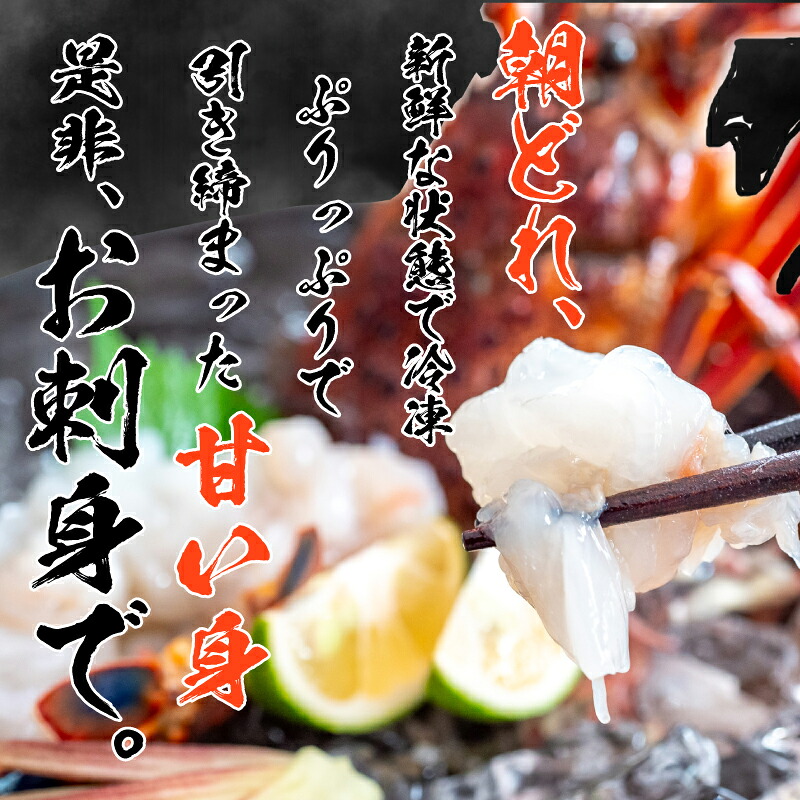 特大伊勢海老とからすみのセット 伊勢海老 1尾 からすみ100g カラスミ 唐墨 伊勢海老 エビ いせえび 人気伊勢海老 伊勢海老刺身 高級 珍味 鮮魚 海鮮 刺身 お造り おつまみ 酒の肴 国産 伊