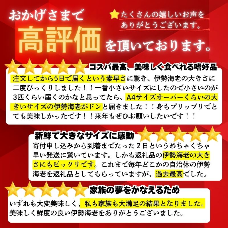 特大 伊勢海老 年末予約 600g以上 1匹~7匹 伊勢海老 エビ いせえび 人気伊勢海老 伊勢海老刺身 生き 活魚 高級 鮮魚 海鮮 魚介 刺身 お造り 焼き物 汁物 BBQ 魚介類 おつまみ 国産 伊勢海老国産 人気 便利 活