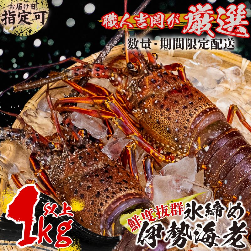 氷締め 伊勢海老 1kg以上 大容量 活締め 伊勢海老 エビ いせえび 人気伊勢海老 伊勢海老刺身 特大 鮮魚 活魚 海鮮 魚介 刺身 お造り 焼き物 汁物 BBQ 魚介類 おつまみ 国産 伊勢海老国