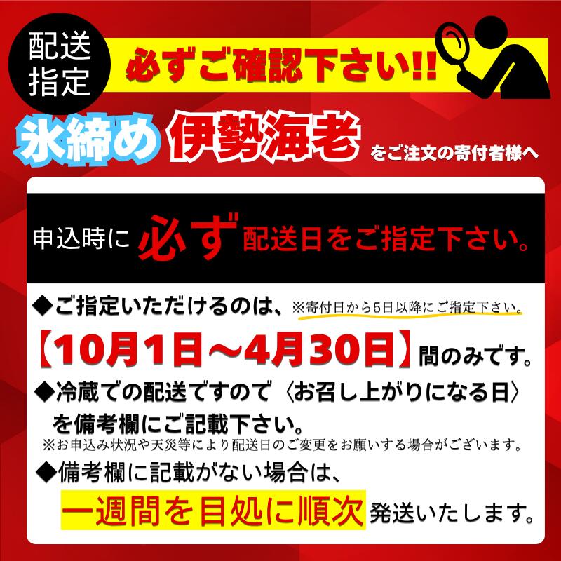 氷締め 伊勢海老 1kg以上 大容量 活締め 伊勢海老 エビ いせえび 人気伊勢海老 伊勢海老刺身 特大 鮮魚 活魚 海鮮 魚介 刺身 お造り 焼き物 汁物 BBQ 魚介類 おつまみ 国産 伊勢海老国