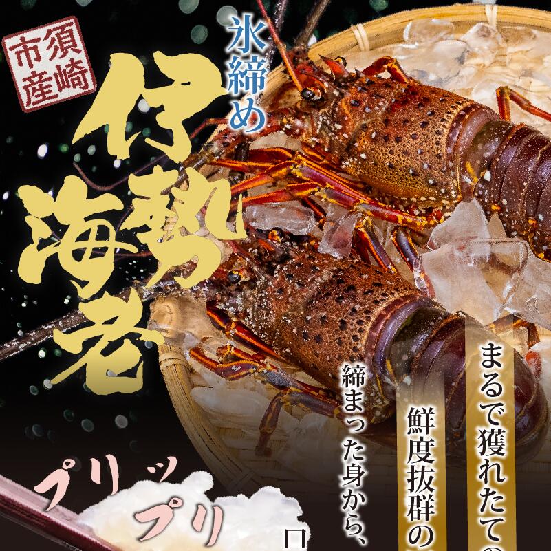 氷締め 伊勢海老 1kg以上 大容量 活締め 伊勢海老 エビ いせえび 人気伊勢海老 伊勢海老刺身 特大 鮮魚 活魚 海鮮 魚介 刺身 お造り 焼き物 汁物 BBQ 魚介類 おつまみ 国産 伊勢海老国