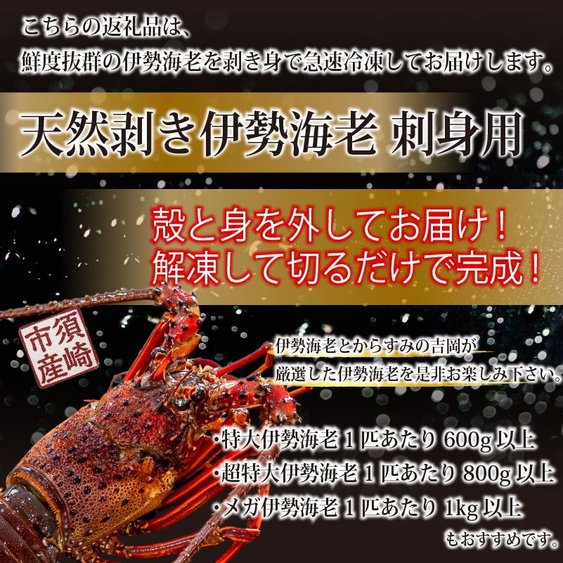 剥き伊勢海老 生食OK 540g~2kg 以上 むき身 伊勢海老 エビ いせえび 人気伊勢海老 伊勢海老刺身 特大 高級 鮮魚 海鮮 魚介 刺身 お造り 海鮮丼 おつまみ 国産 伊勢海老国産 人気 便利 お手軽