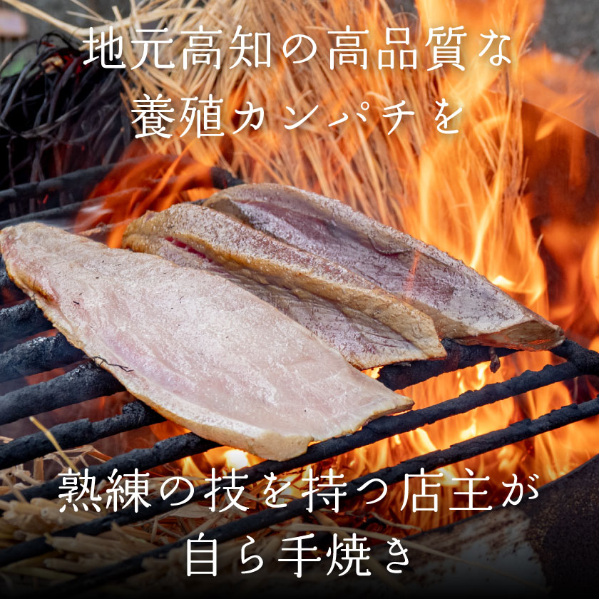 生かんぱちのたたき 300g以上 土佐 高知県産 須崎市 IRY002