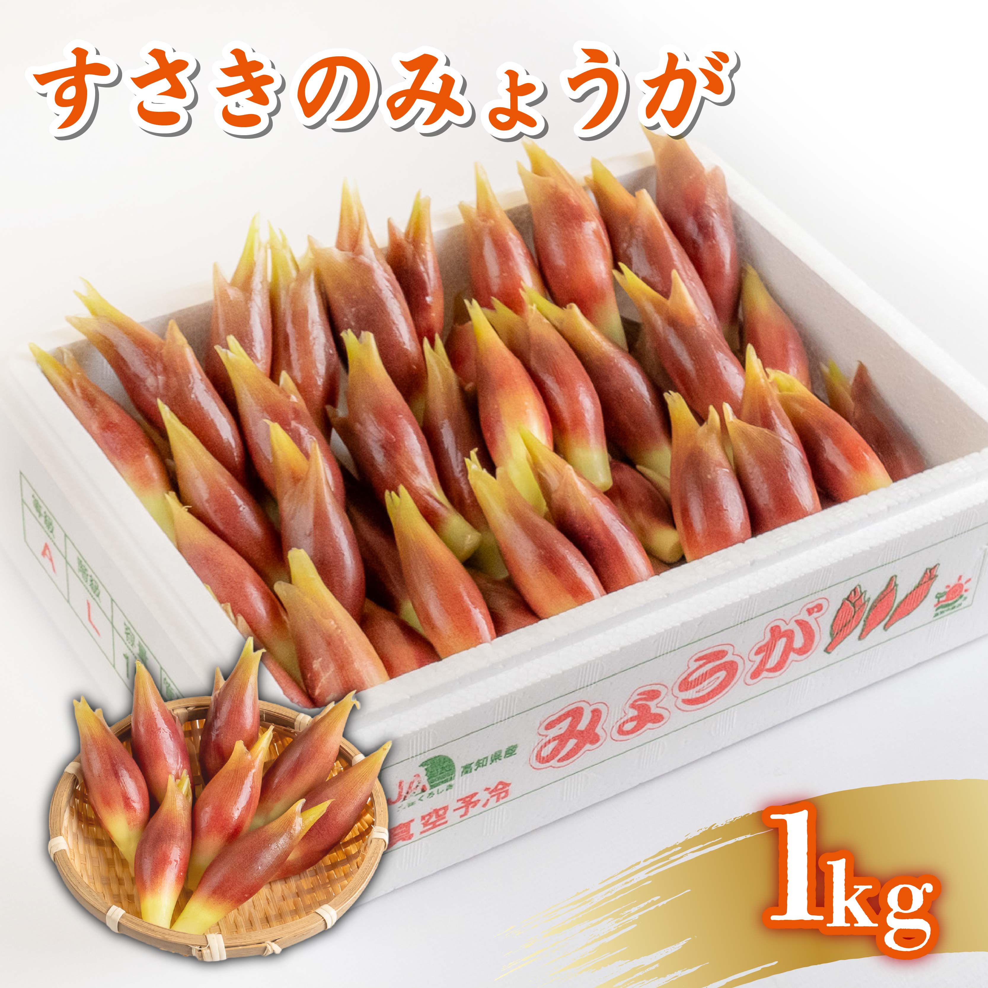 野菜類 薬味 秀品 すさきのみょうが 1kg