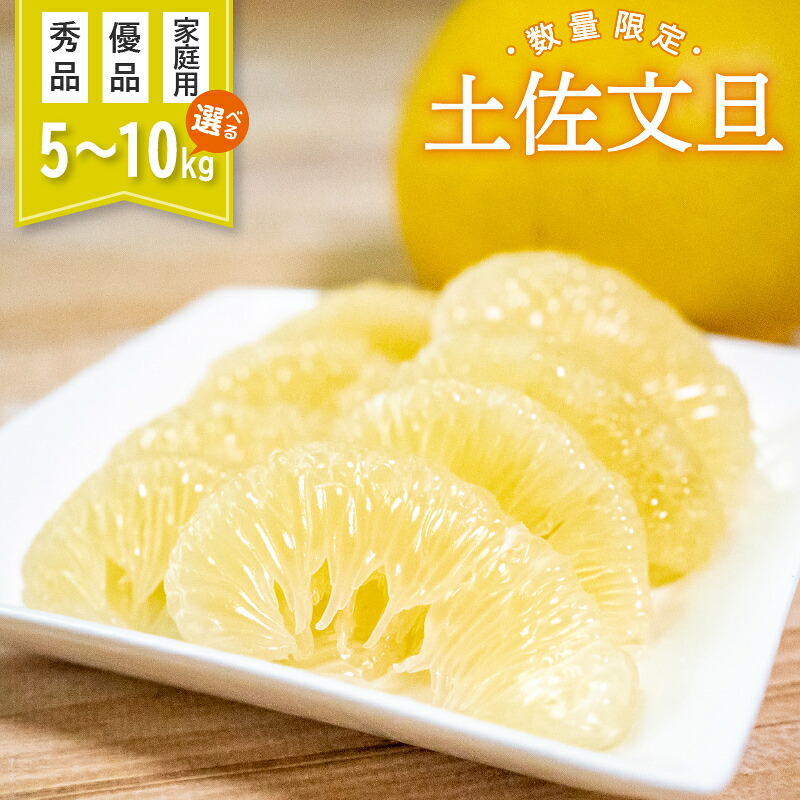 早期受付開始 2027年2月~発送開始 土佐文旦 5~10kg 高知県産 柑橘 フルーツ 文旦 ぶんたん ブンタン 分担 果物 みかん 文旦 産地直送 高知県 須崎 須崎市 KG0041-all