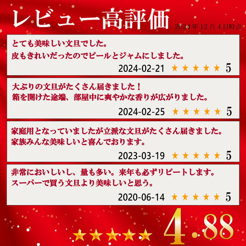 早期受付開始 2027年2月~発送開始 土佐文旦 5~10kg 高知県産 柑橘 フルーツ 文旦 ぶんたん ブンタン 分担 果物 みかん 文旦 産地直送 高知県 須崎 須崎市 KG0041-all