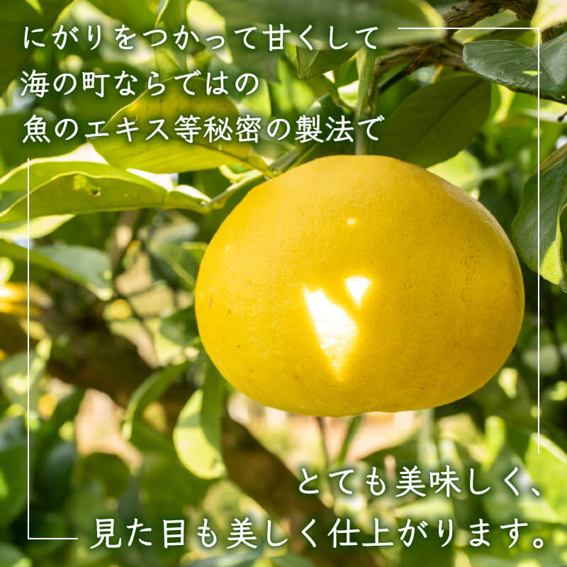 早期受付開始 2027年2月~発送開始 土佐文旦 5~10kg 高知県産 柑橘 フルーツ 文旦 ぶんたん ブンタン 分担 果物 みかん 文旦 産地直送 高知県 須崎 須崎市 KG0041-all