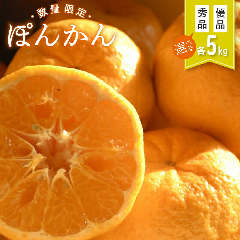 ぽんかん 優品 5kg