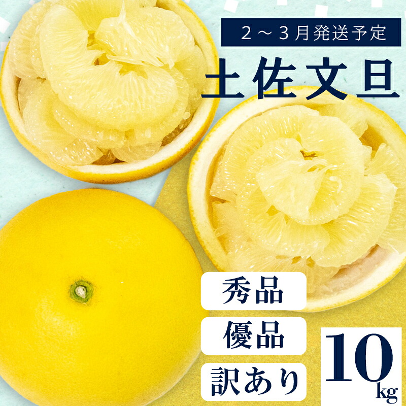 【 先行予約 】 土佐文旦 秀品 10kg 高知県産 柑橘 フルーツ 文旦 ぶんたん ブンタン 分担 果物 みかん 文旦 産地直送 高知県 須崎 須崎市 南国高知からの贈り物 KN001