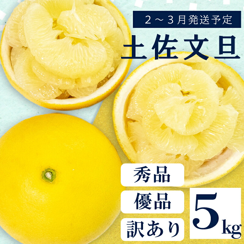 【2027年2月上旬から発送】 文旦 高知 5kg 秀品 3L 4L 浦ノ内特産 早期予約 予約受付中 期間限定 季節限定 限定 旬 みかん ミカン ぶんたん 高知県 土佐文旦 柑橘 贈答 お土産 K