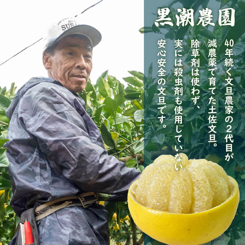 【2027年2月上旬から発送】 文旦 高知 5kg 秀品 3L 4L 浦ノ内特産 早期予約 予約受付中 期間限定 季節限定 限定 旬 みかん ミカン ぶんたん 高知県 土佐文旦 柑橘 贈答 お土産 K