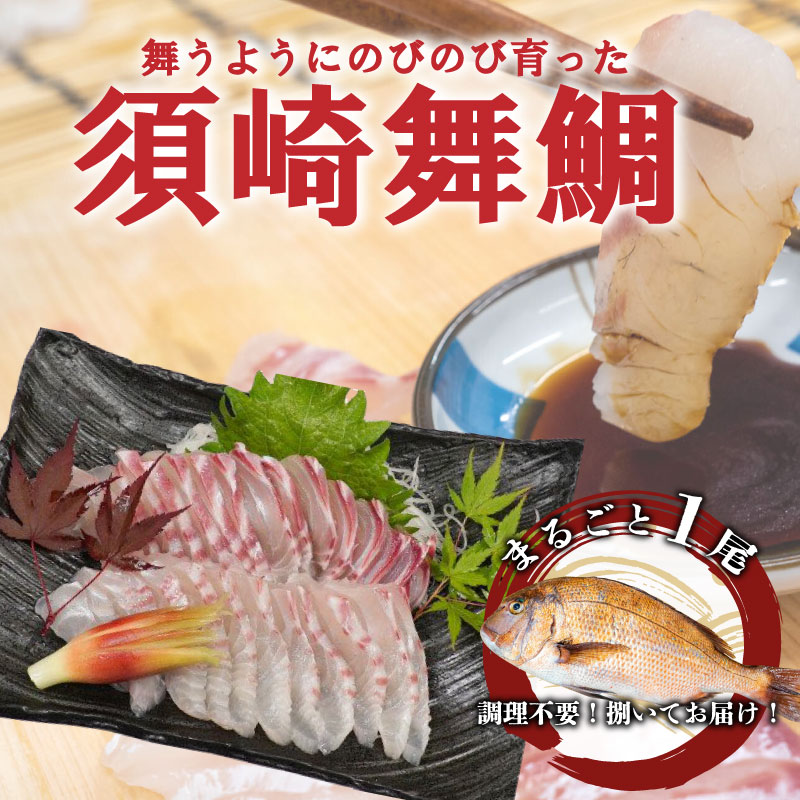 お 刺身 タイ 鯛 真鯛 まるごと 1尾 フィーレ 柵 400 ~ 500g 冷蔵 下処理済 鯛茶漬け 鯛めし 刺し身 鯛しゃぶ 高級 鮮魚 鯛の塩釜 高知県 須崎市