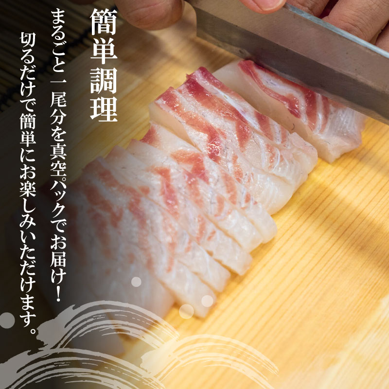 お 刺身 タイ 鯛 真鯛 まるごと 1尾 フィーレ 柵 400 ~ 500g 冷蔵 下処理済 鯛茶漬け 鯛めし 刺し身 鯛しゃぶ 高級 鮮魚 鯛の塩釜 高知県 須崎市