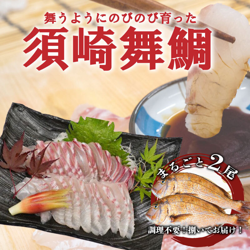 漁師自慢の逸品 須崎舞鯛 お刺身用 2匹分