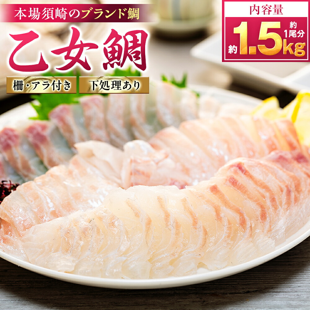 真鯛 刺身 用 柵 アラ付き 1尾 セット 1.3kg～1.5kg 本場須崎のブランド 鯛 乙女鯛 新鮮 冷蔵 刺身 刺し身 さしみ お刺し身 タイ 鯛 高級魚 鮮魚 海鮮 魚介 煮付け 鯛めし 鯛茶