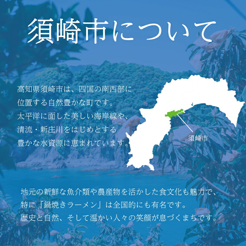 わら焼き かつおのタタキ 1~2節 【 生 カツオ 】 1 節 2節 かつおの藁焼き 鰹たたき カツオ 鰹 わら焼きかつお 鰹のたたき 冷凍 ふるさと納税カツオ 高知県 須崎市 お刺身 刺身 さしみ