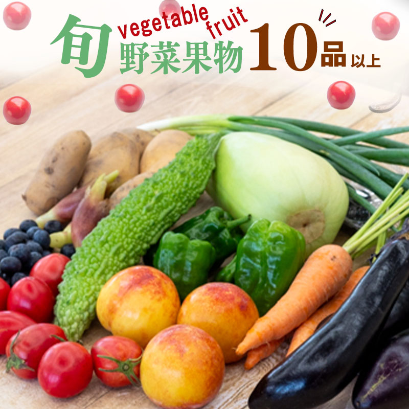 野菜 ･ 果物 10 ～ 13 種類 セット | 季節 旬 野菜 詰め合せ 国産 季節 旬 おまかせ 産地直送 春野菜 夏野菜 秋野菜 きのこ 葉物 果物 果菜 根菜 冷蔵 野菜室 食 加工品