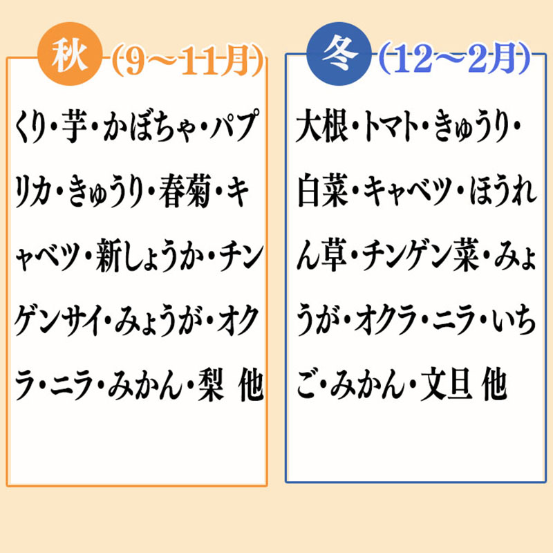 野菜 ･ 果物 10 ～ 13 種類 セット | 季節 旬 野菜 詰め合せ 国産 季節 旬 おまかせ 産地直送 春野菜 夏野菜 秋野菜 きのこ 葉物 果物 果菜 根菜 冷蔵 野菜室 食 加工品