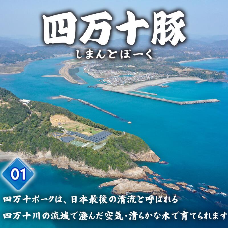 豚肉 とんかつ 720g 6人前 ブランド豚 四万十ポークカツ 豚カツ バーベキューソース付き 高知県 須崎市