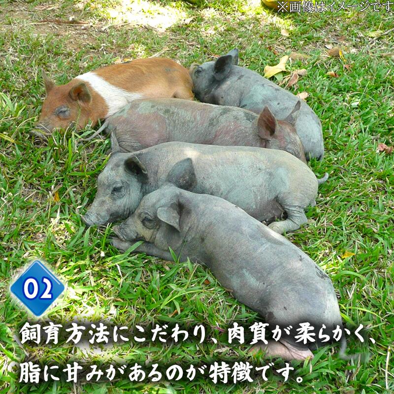 豚肉 とんかつ 720g 6人前 ブランド豚 四万十ポークカツ 豚カツ バーベキューソース付き 高知県 須崎市